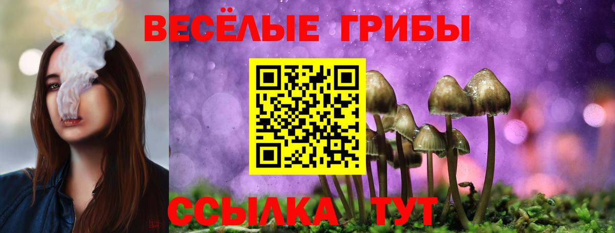 Псилоцибиновые грибы Cubensis  Псилоцибиновые грибы мицелий  Вход с VPN  Кировск 