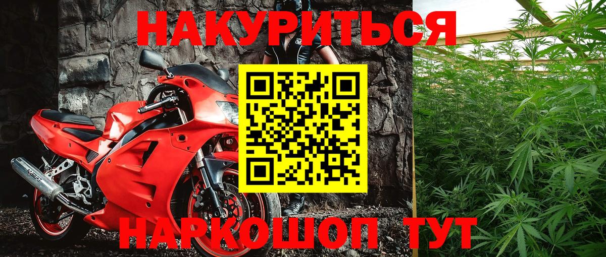 Бошки марихуана конопля Кировск